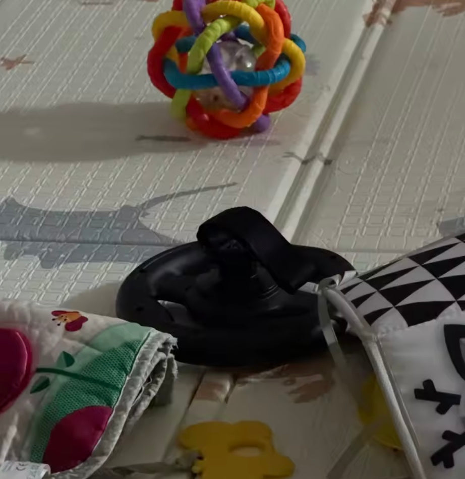 EVAM BABY steering wheel with baby items